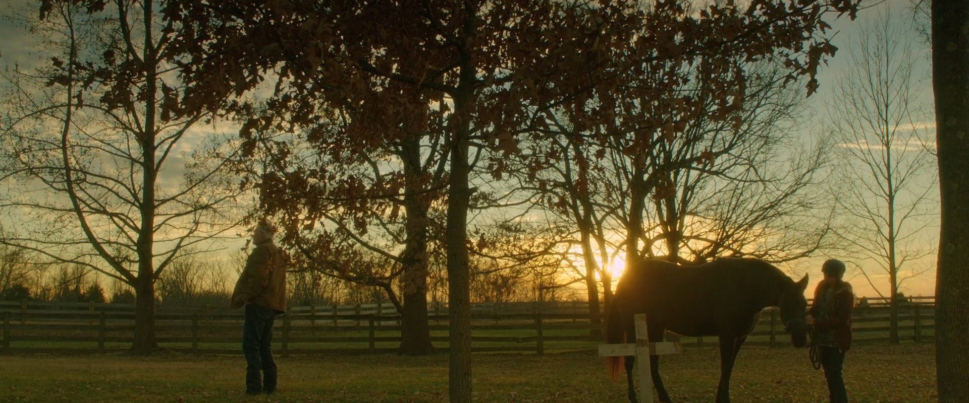 Orphan Horse background