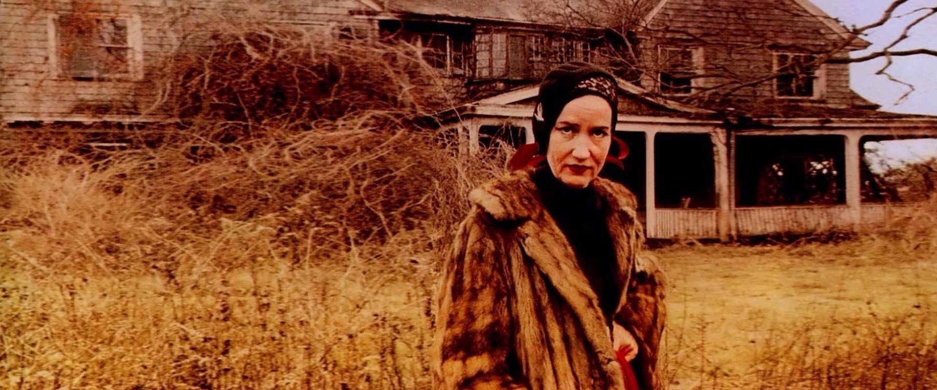 Grey Gardens background