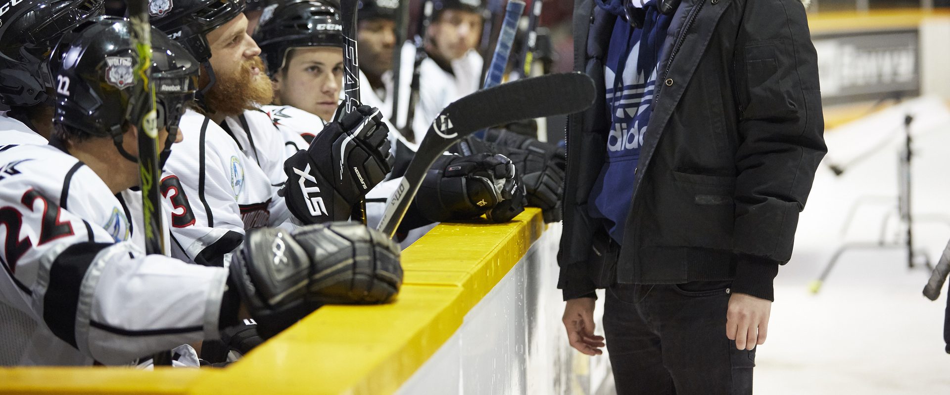 Goon: Last of the Enforcers background