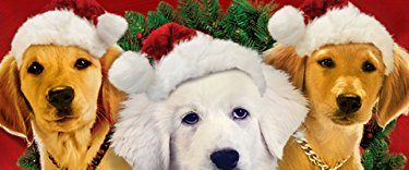 Santa Buddies background