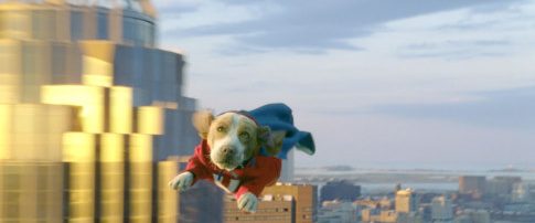 Underdog background