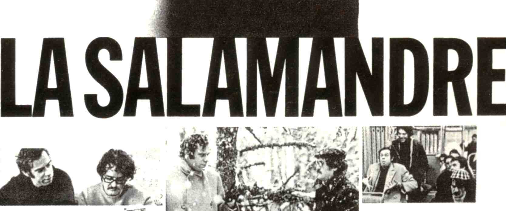 The Salamander background
