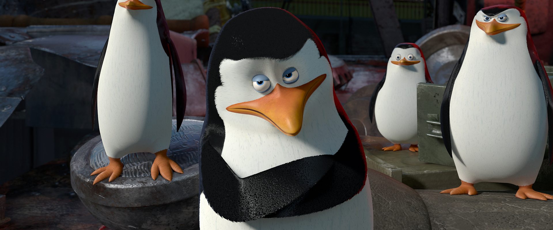 Madagascar 3: Europe's Most Wanted background
