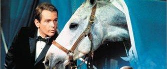 The Horse in the Gray Flannel Suit background