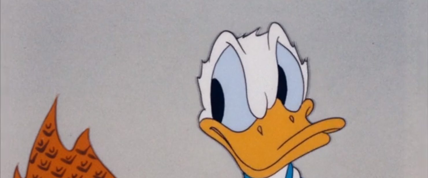 Chef Donald background