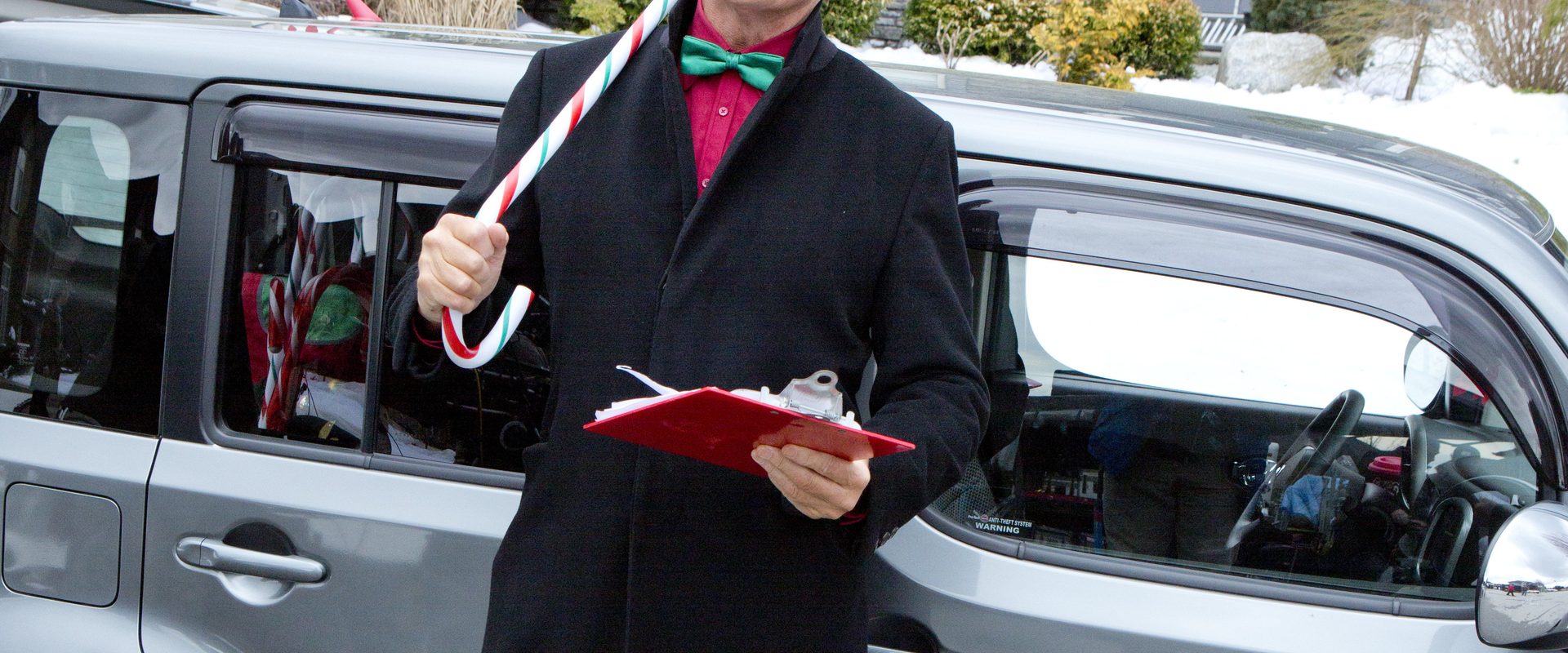 The Christmas Consultant background