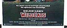 Wildcats background