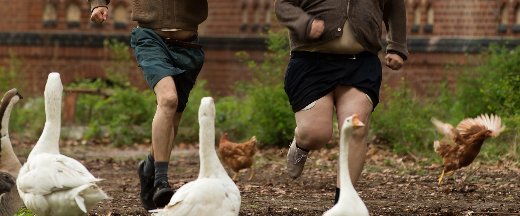 Men & Chicken background