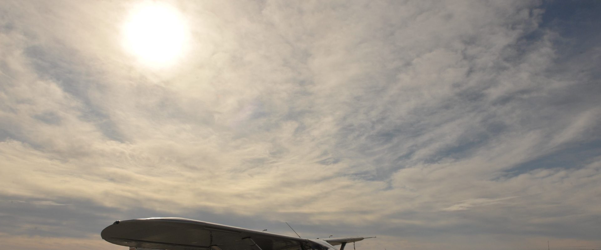The Aviation Cocktail background