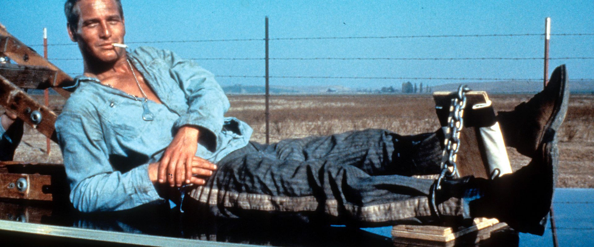 Cool Hand Luke background