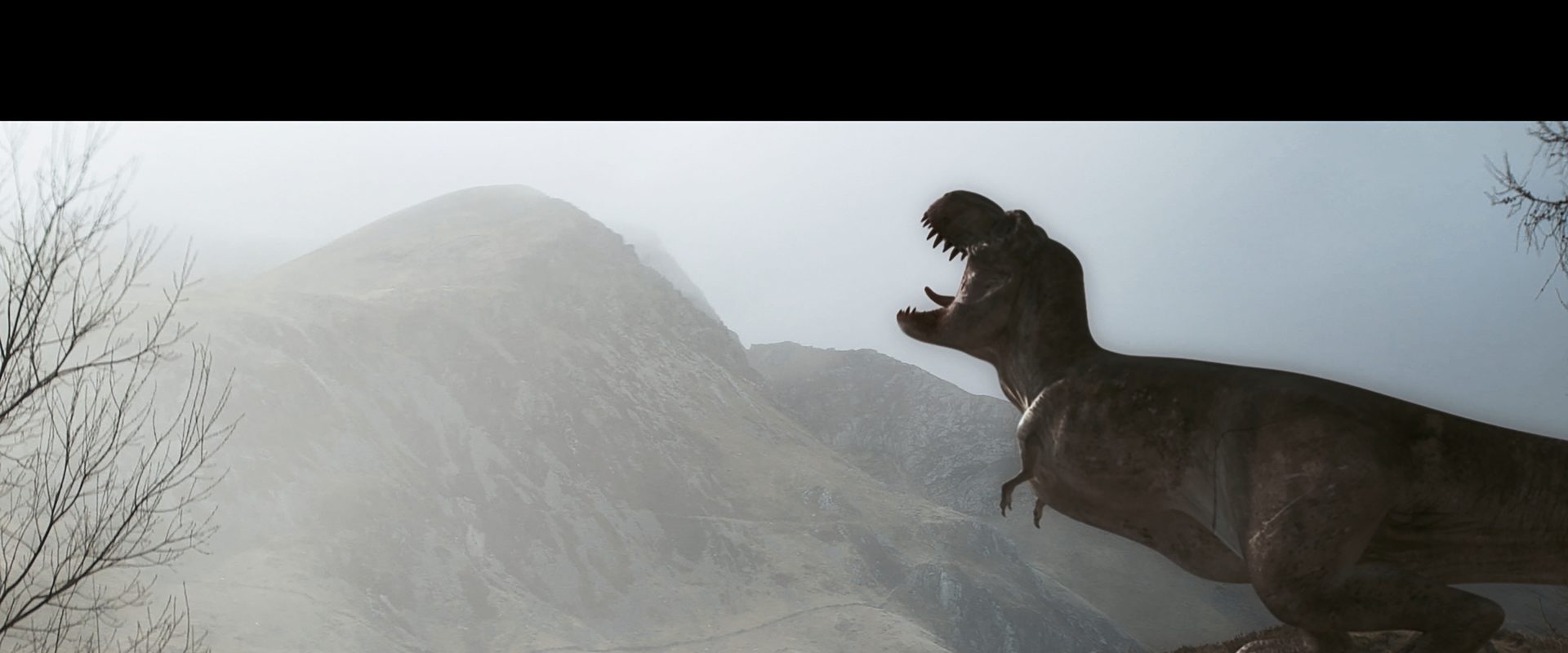 Kingdom of the Dinosaurs background
