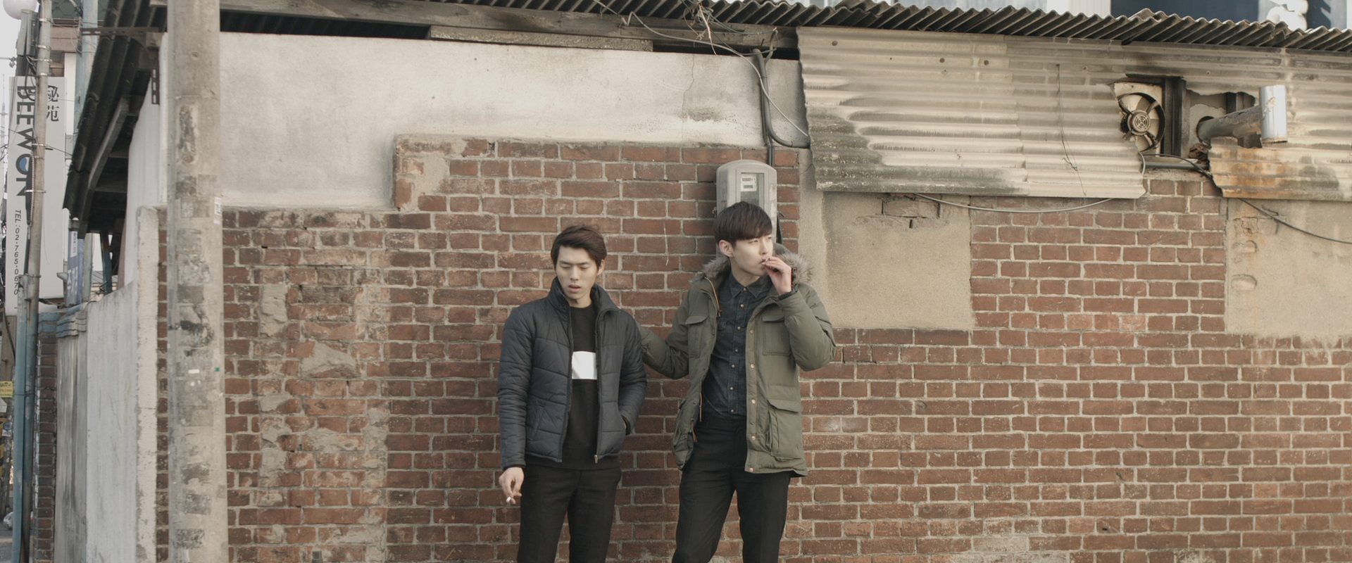 Butterfly: The Adult World background
