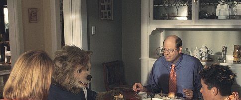 The Country Bears background