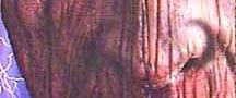 The Fear: Resurrection background