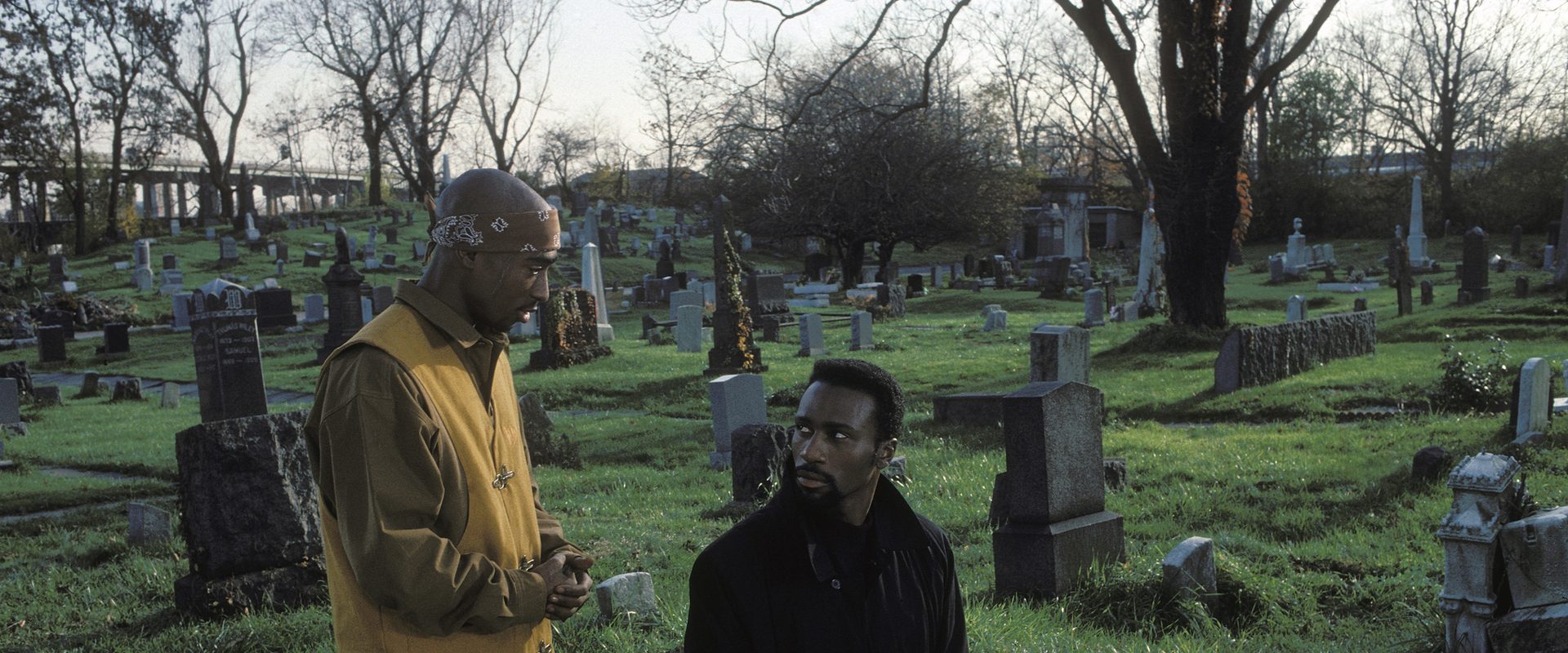 Above the Rim background