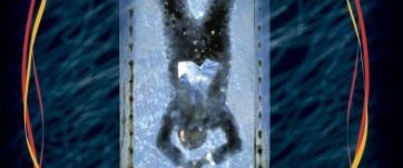 The Escape Artist background
