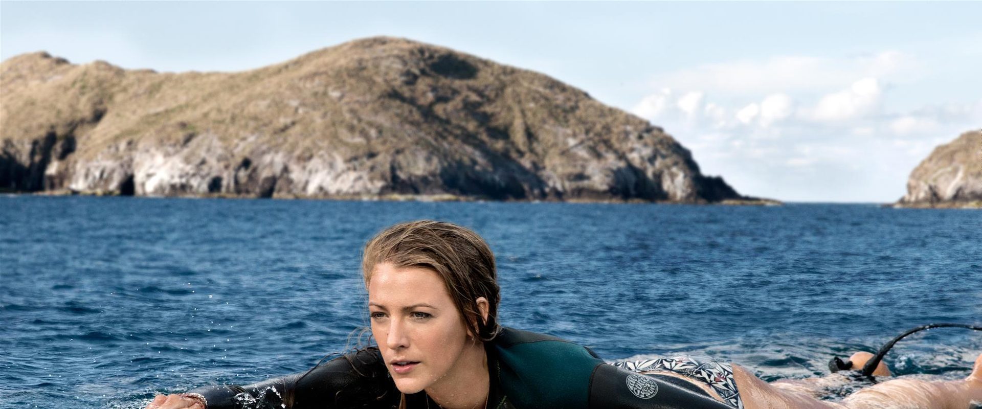 The Shallows background