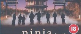Ninja in the Dragon's Den background