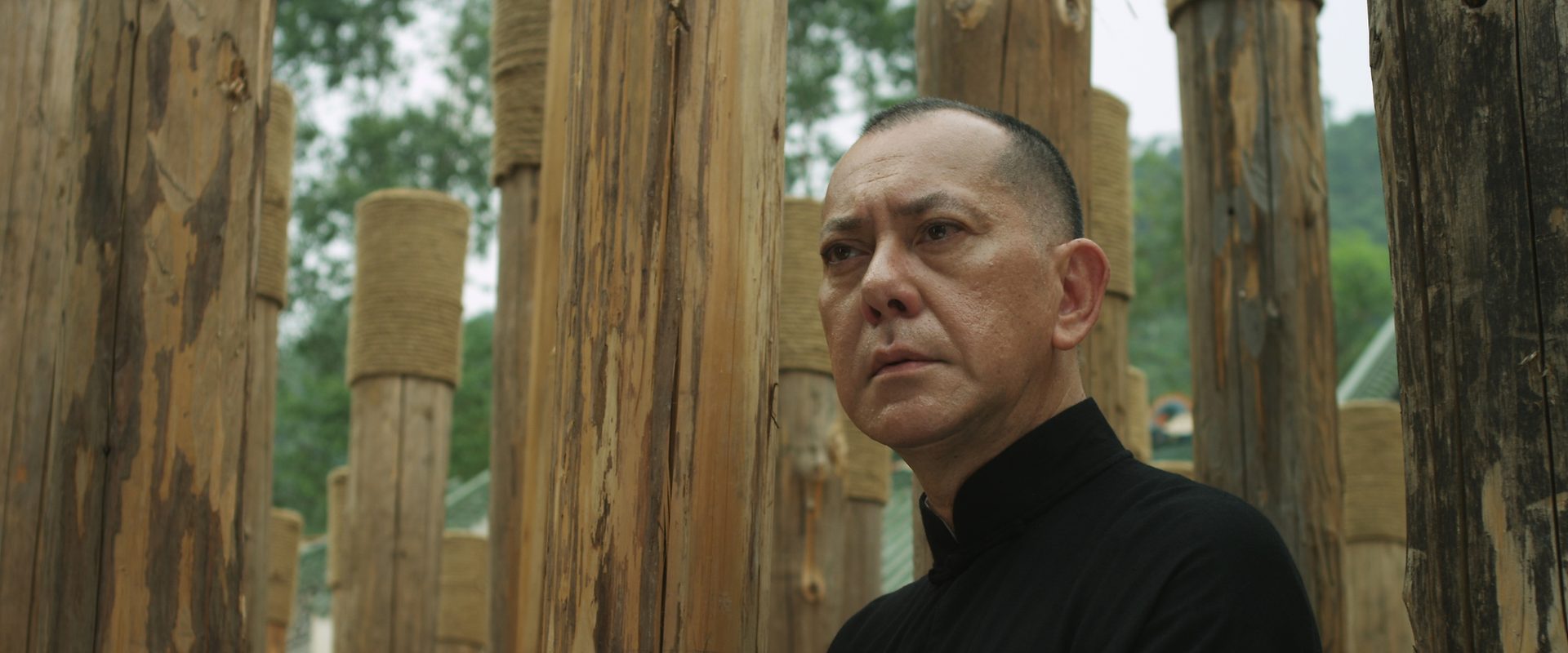 Ip Man: The Final Fight background