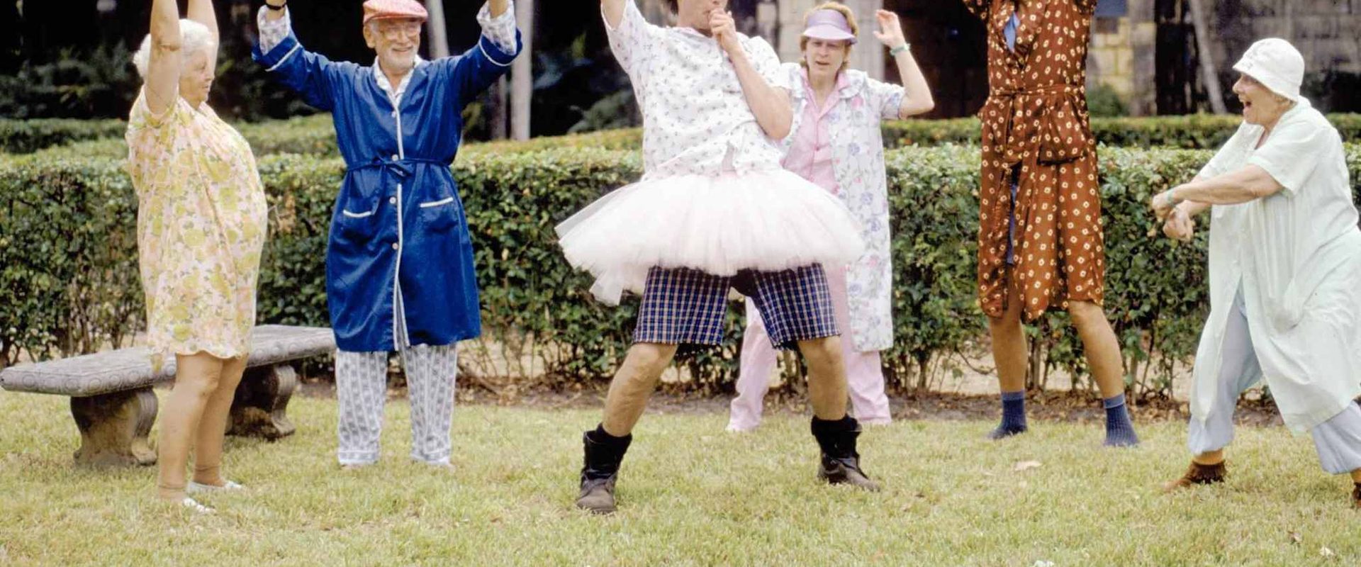 Ace Ventura: Pet Detective background