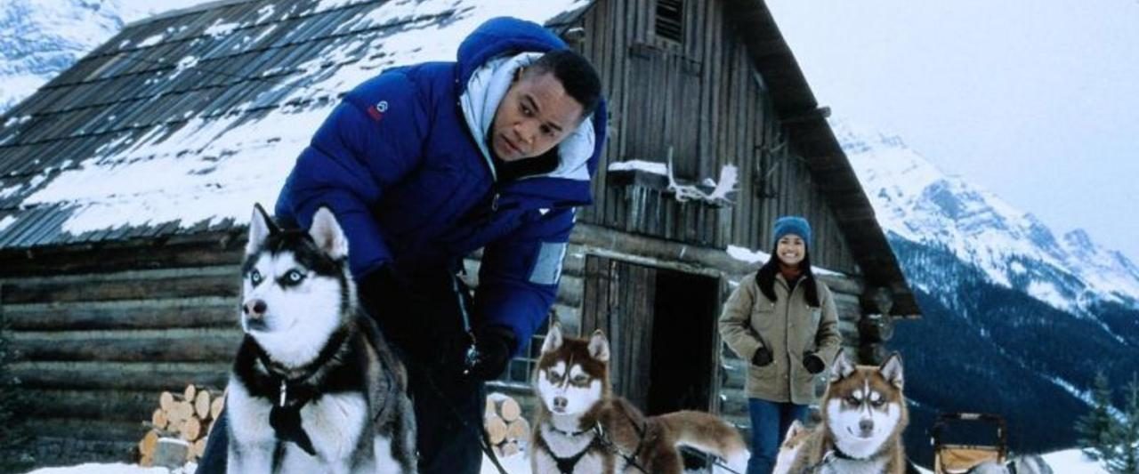 Snow Dogs background