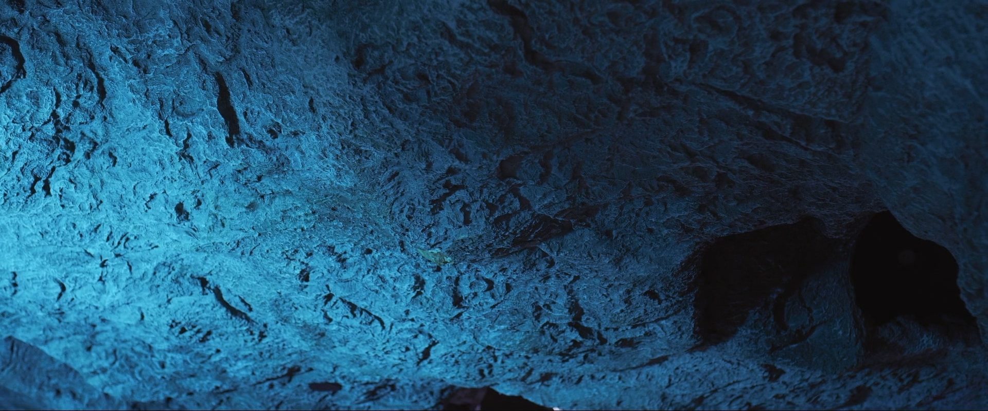 Aquarium of the Dead background