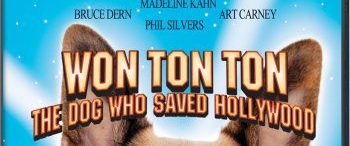 Won Ton Ton: The Dog Who Saved Hollywood background