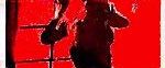 The Bird with the Crystal Plumage background