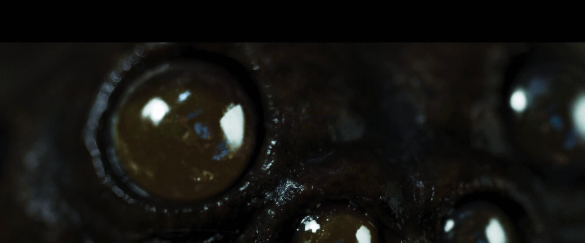 Itsy Bitsy background