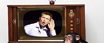 Shane Mauss: Mating Season background