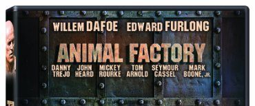 Animal Factory background