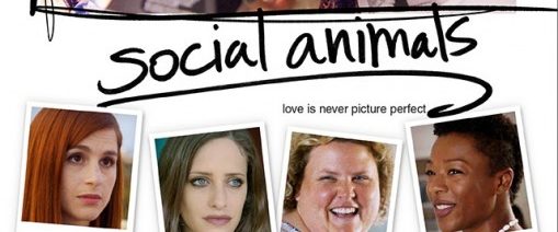Social Animals background