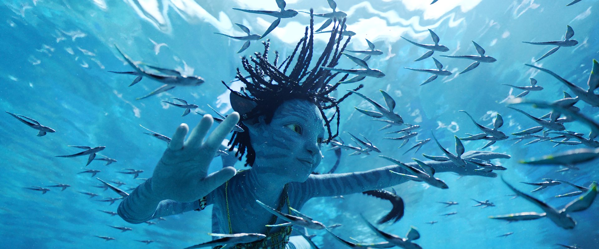 Avatar: The Way of Water background