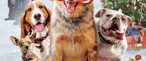 Pups Alone background