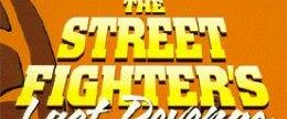The Street Fighter's Last Revenge background