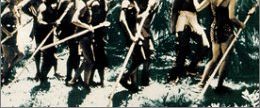 The Wild Women of Wongo background