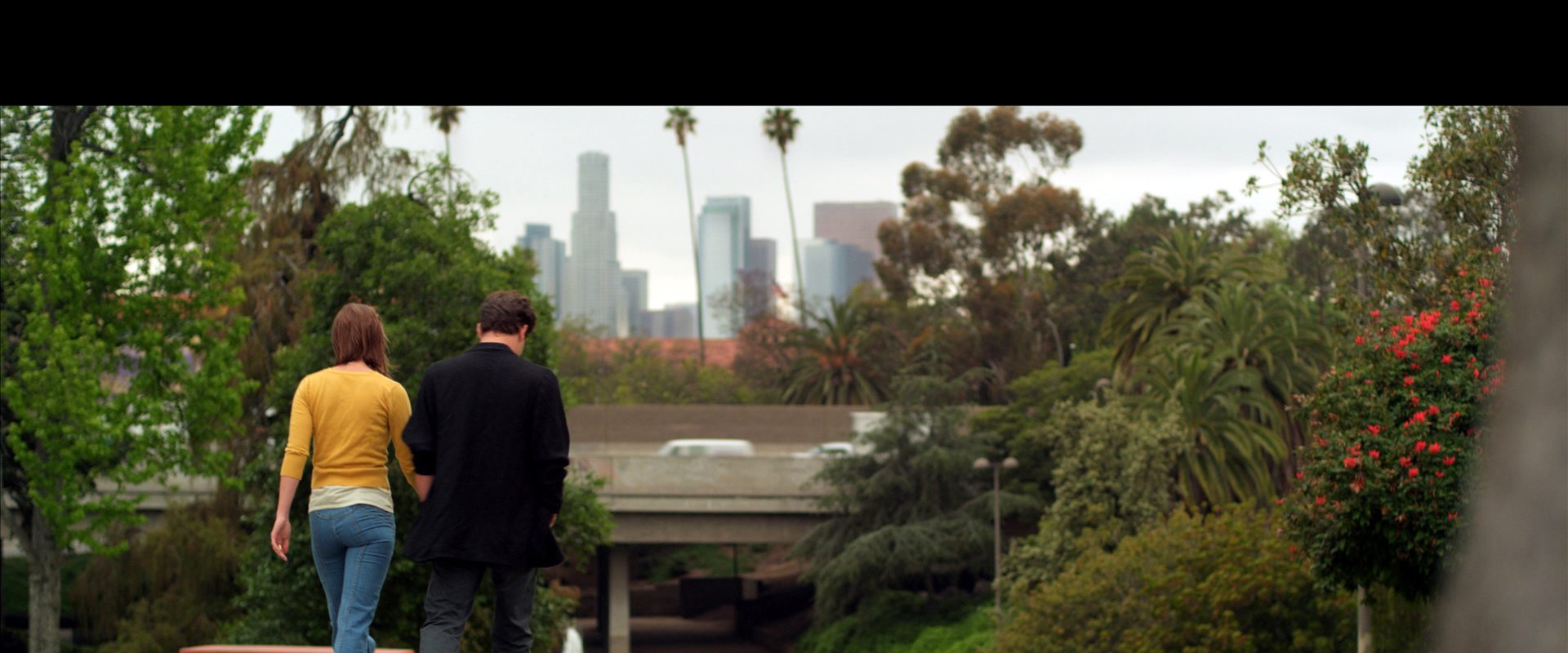 Lonely Boy background