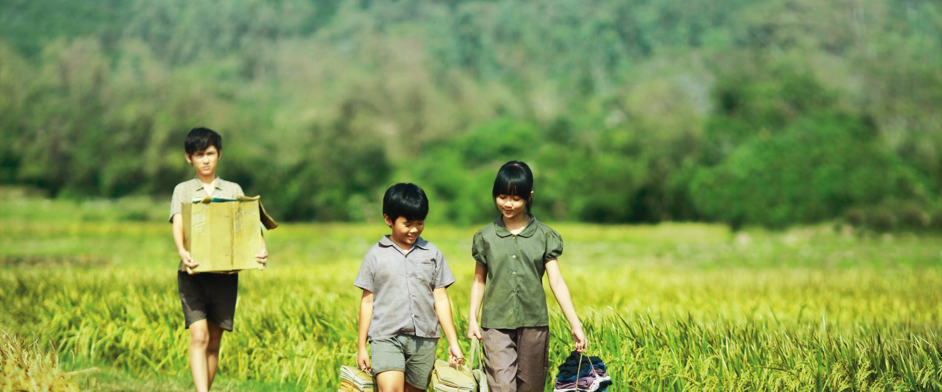 Yellow Flowers On the Green Grass background