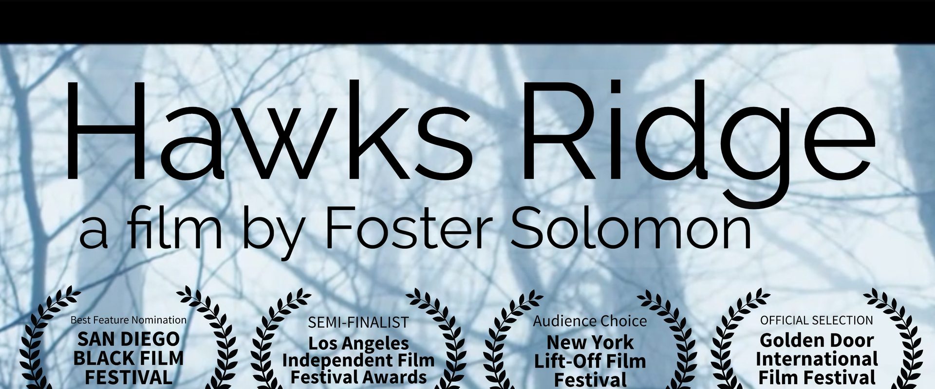 Hawks Ridge background