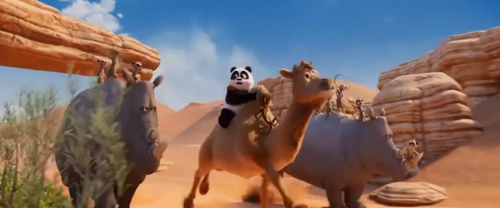 Panda Bear in Africa background