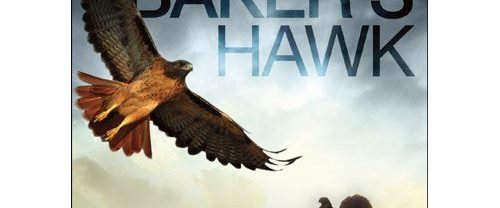 Baker's Hawk background
