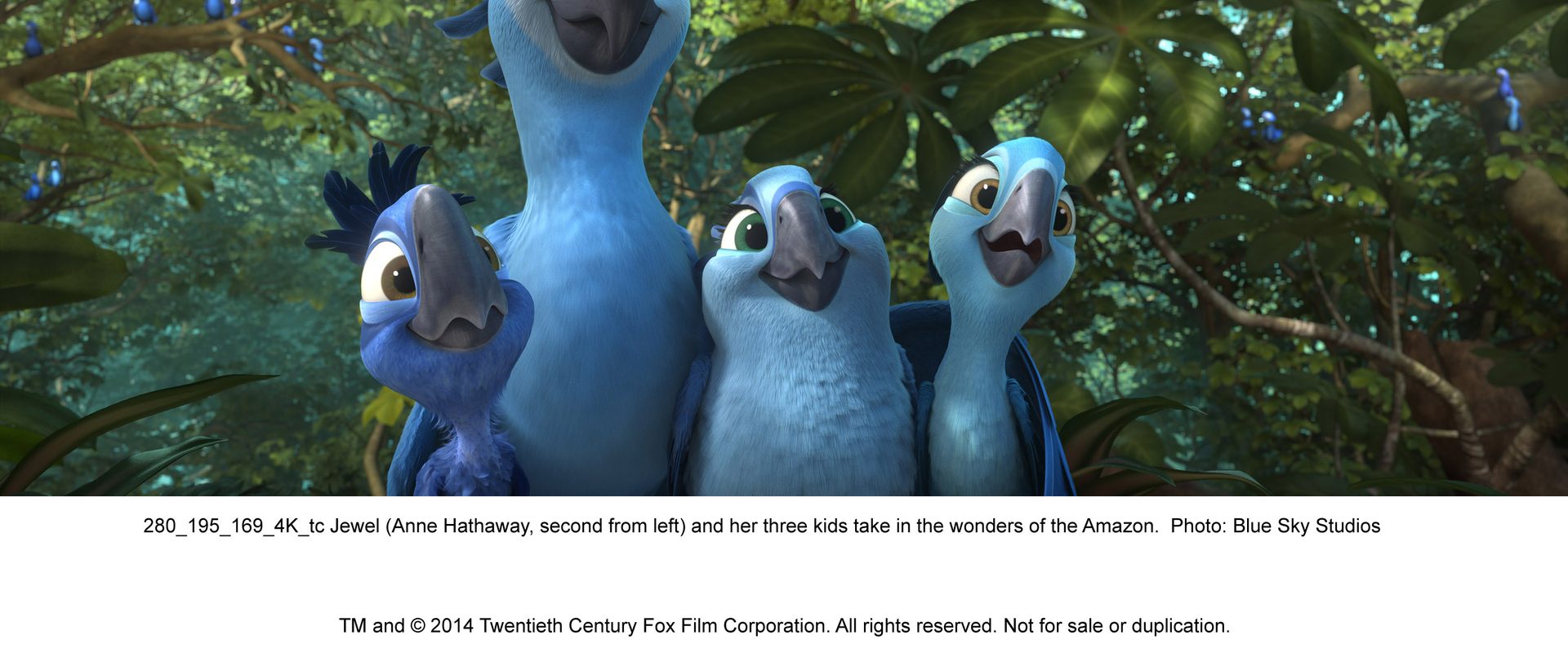 Rio 2 background