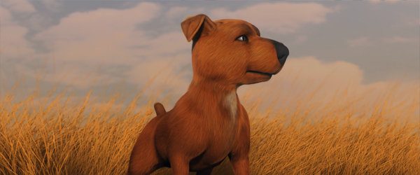 Jock the Hero Dog background