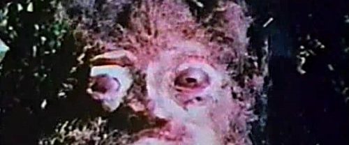 Curse of Bigfoot background