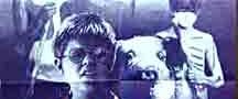 Lord of the Flies background