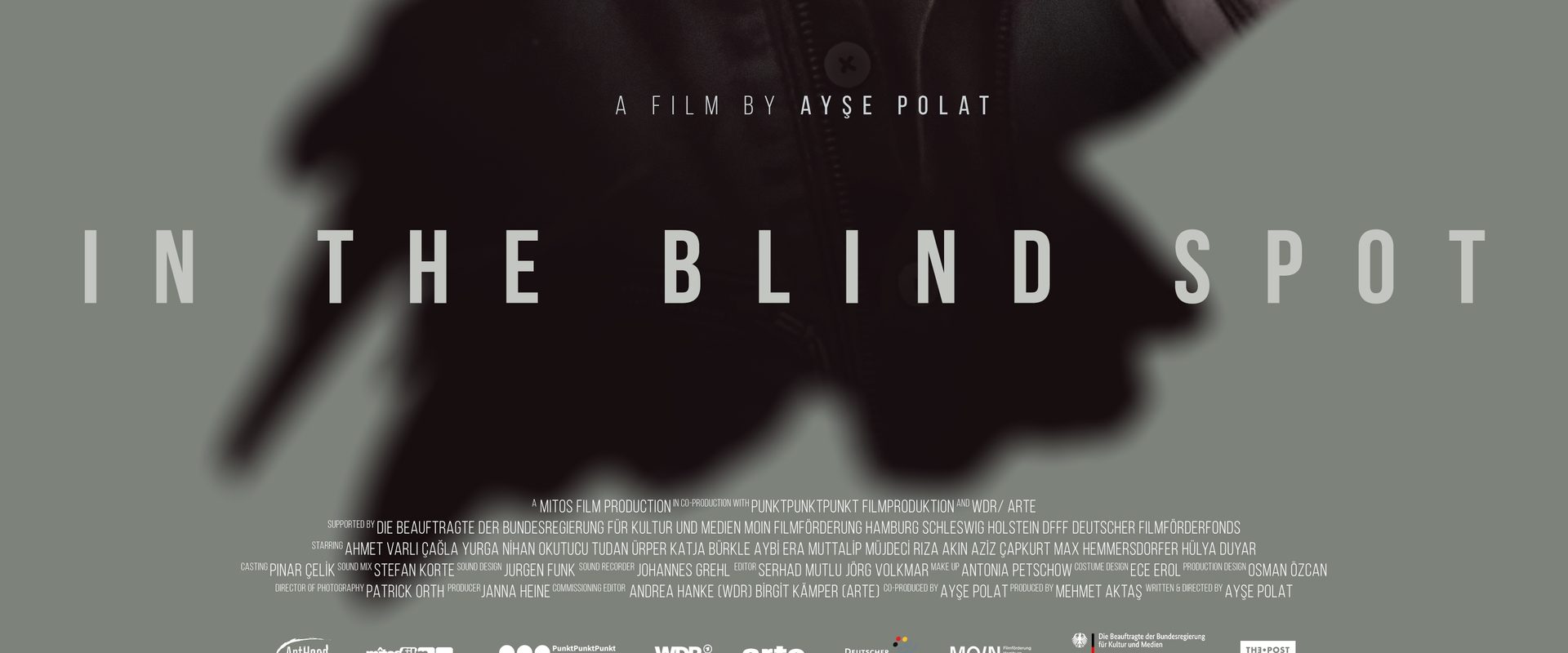 In the Blind Spot background