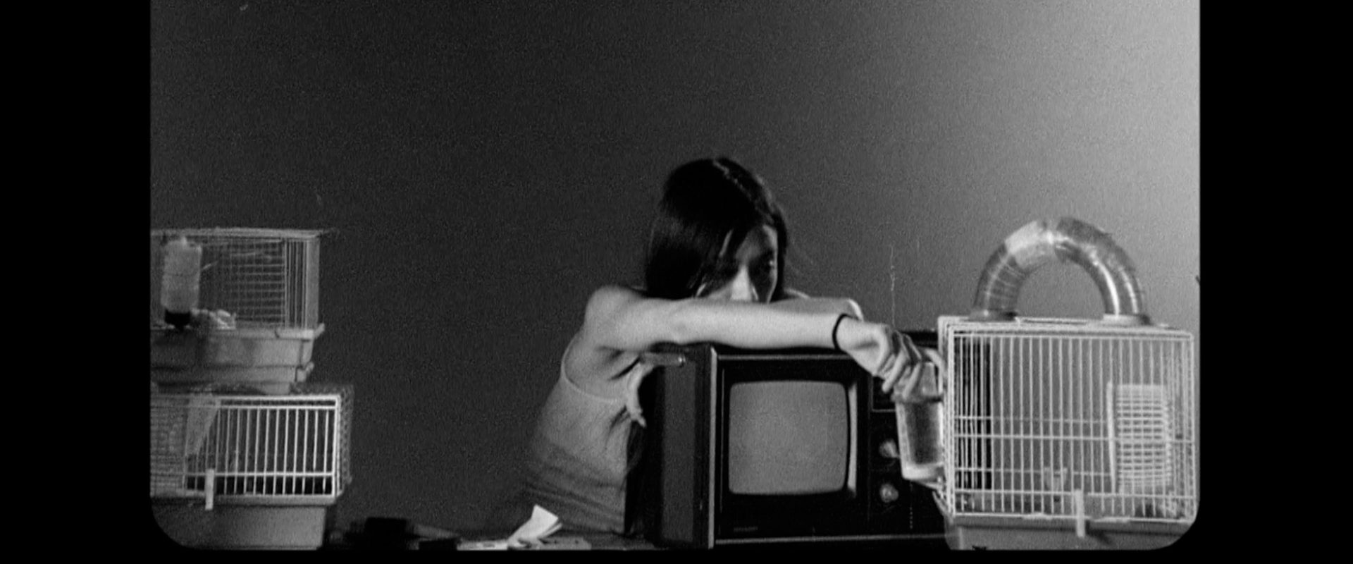 Letters to Paul Morrissey background