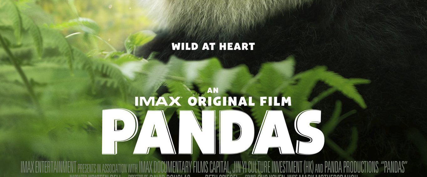 Pandas background