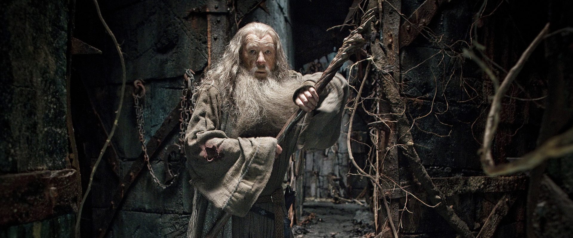The Hobbit: The Desolation of Smaug background