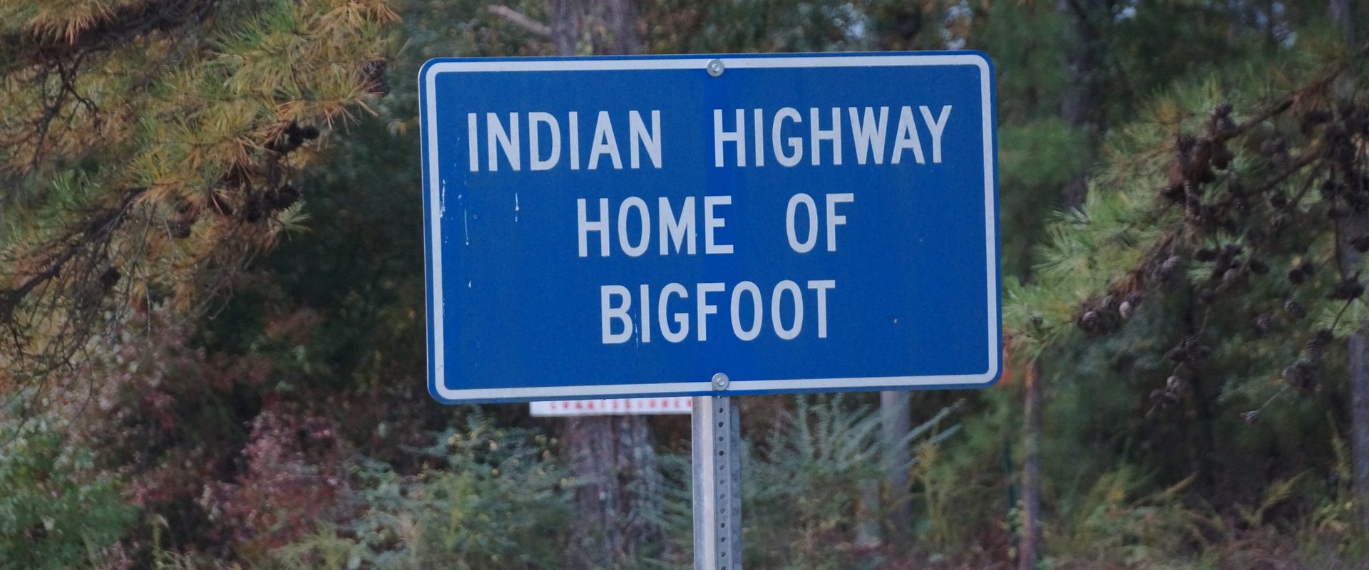 The Kiamichi Beast Expedition background